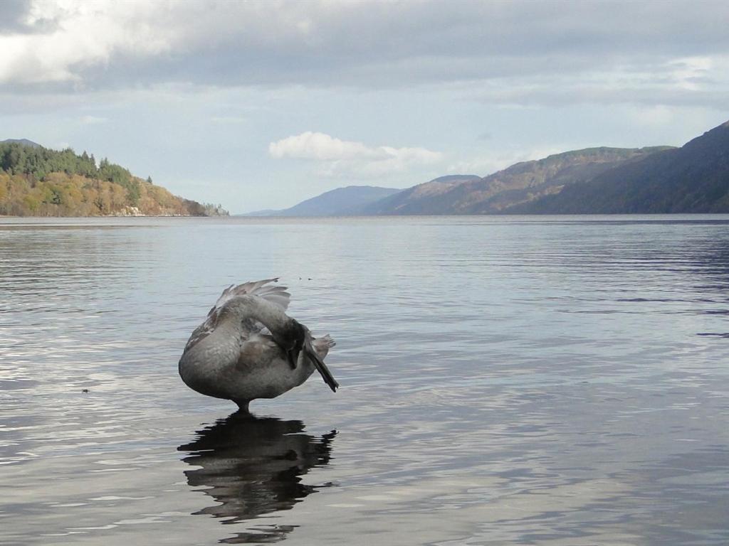 Binnilidh Mhor B&B Glenmoriston Bagian luar foto